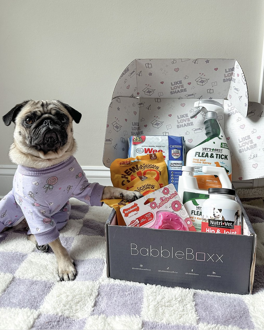 Pet-parent creator unboxing a For the Pets Co-Op kit
